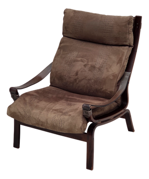Vintage Scandinavian Lounge Chair in Leather, 1970s