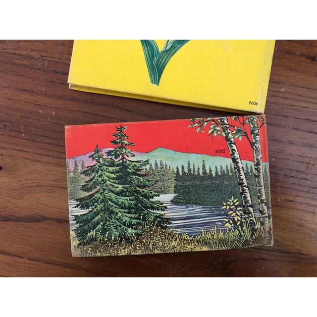 Vintage Tree and Wild Flower Nature Guide Book Set of 2 For Sale In New York - Image 6 of 16
