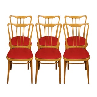 Italian Chairs in Exotic Wood and Faux Leather, 1960, Set of 6 For Sale