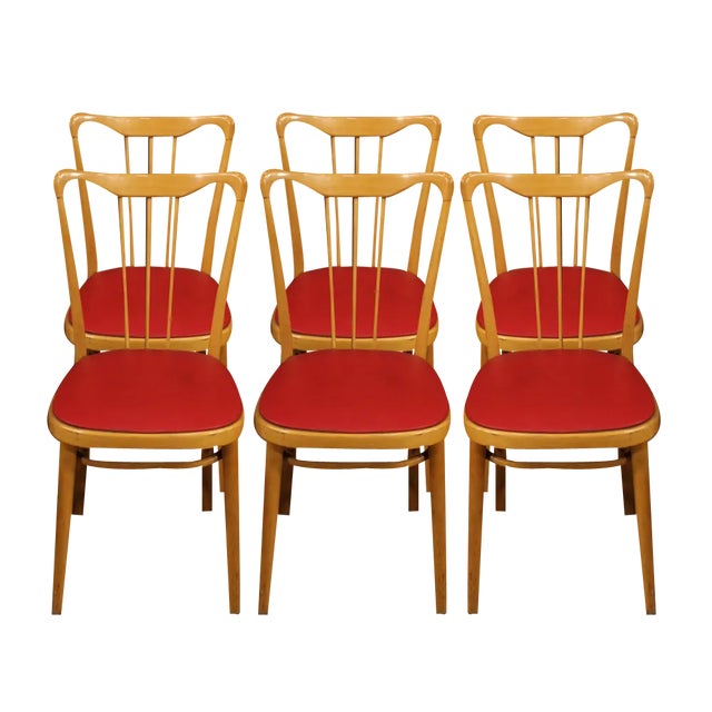 Italian Chairs in Exotic Wood and Faux Leather, 1960, Set of 6 For Sale