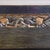 Antique Black Painted Display Cabinet For Sale - Image 5 of 7