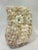 A vintage owl figure covered in tiny shells is a cute desk accessory or fall decor item.