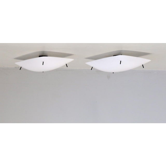 Model 3032/F Ceiling Lamp by Gino Sarfatti for Arteluce Italia, 1954, Set of 2 For Sale - Image 13 of 13