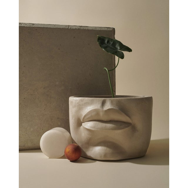 La Bocca Bowl by Marcela Cure For Sale - Image 4 of 6