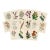 Collection of Sixteen Hand-Colored Botanical Prints by Sir Joseph Paxton, England, Circa 1850 For Sale