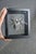 Contemporary Framed Eastern Goliath Beetle Specimen in Glass Shadow Box For Sale - Image 3 of 7