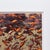 Early 21st Century Albarran & Cabrera, Image of Fish, Photograph with Gold Leaf on Japanese Paper, 2013, Framed For Sale - Image 5 of 11