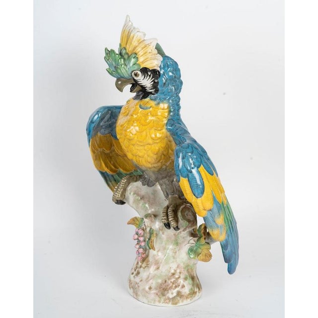 Napoleon III Porcelain Parrot, Paris, France, 19th Century For Sale - Image 5 of 10