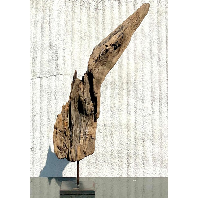 Boho Chic Late 20th Century Driftwood Sculpture on Steel Plinth For Sale - Image 3 of 13