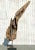 Boho Chic Late 20th Century Driftwood Sculpture on Steel Plinth For Sale - Image 3 of 13