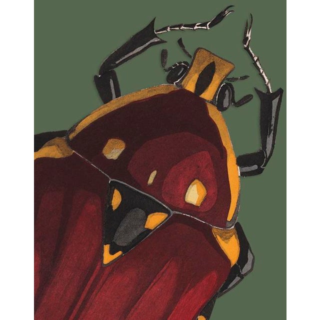 The series was produced by CFA editions from original pochior prints by E.A. Seguy. The series of insects that Seguy...