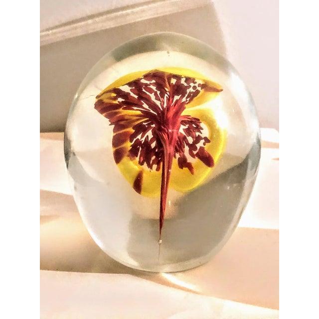 Mid 20th Century Large Glass Egg Shaped Paper Weight With Stunning Floating Petunia For Sale - Image 5 of 6