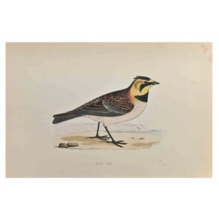 Alexander Francis Lydon, Shore Lark, Woodcut Print, 1870 For Sale