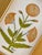 This beautiful brown floral motif painting draws inspiration from the iconic designs of Jaipur, India, seen gracing the...