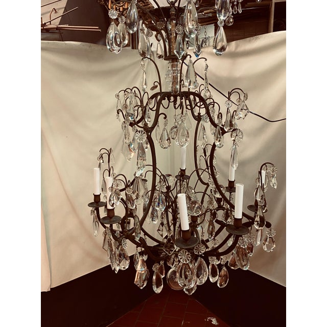 French Large - Louis XV Lead Crystal Chandelier. Est. 1764 to 1860, Heavy Baccarat Lead Crystal For Sale - Image 3 of 9