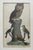 Set of 3 Alexander Wilson Owl Bird Engravings Framed 19th C. Antique For Sale - Image 4 of 8