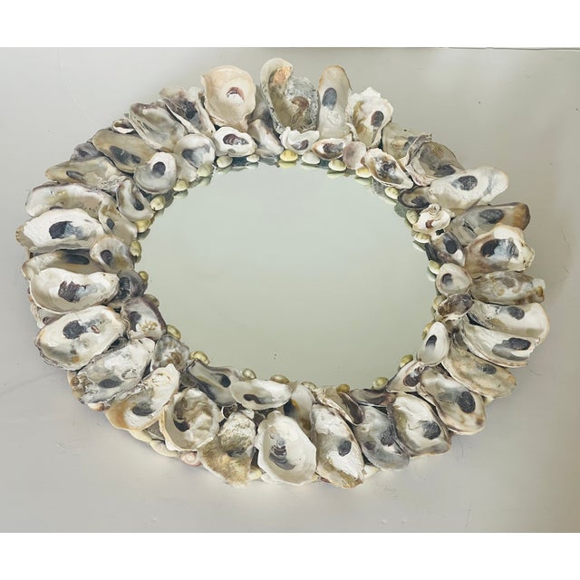 1970s 1970sReduced- Coastal Grotto Oyster Shells Encrusted Round Mirtor For Sale - Image 5 of 8