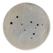 Constellations Sculptural Pendant Necklace from Bruno Munari, 1975 For Sale
