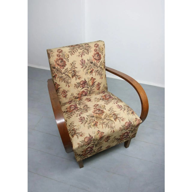 Wood Bentwood Armchair by Jindřich Halabala, 1950s For Sale - Image 7 of 18