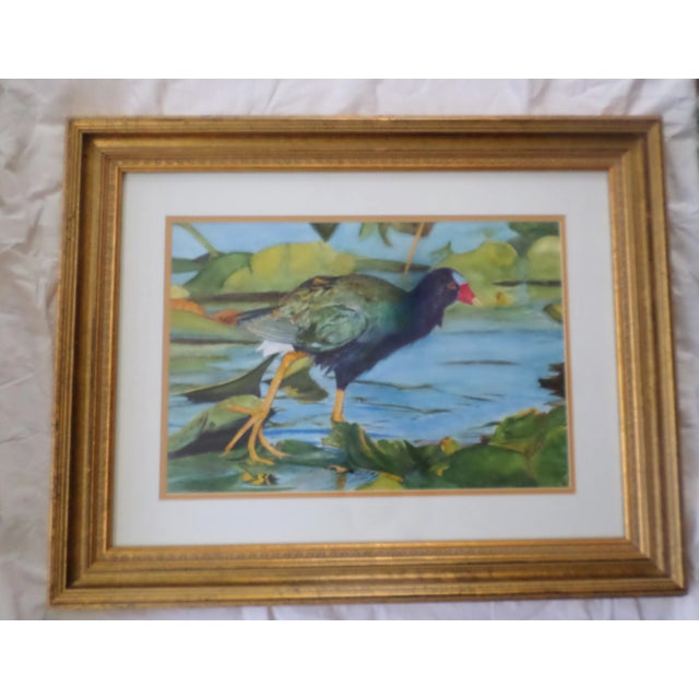 Here is a Magnificent Artist Signed Meyerce Original Watercolor on Paper of a Purple Gallinule in the Everglade of Florida...