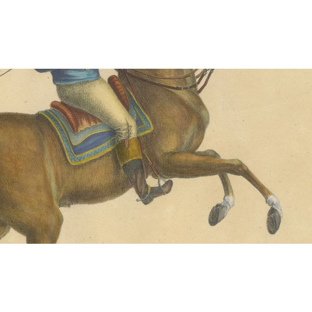Brodtmann, Horse Equus Angliae, 1816, Paper For Sale - Image 6 of 9