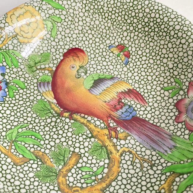Art Deco Antique Copeland Late Spode Salad Bowls a Pair Devonia Cockatoo Bird & Butterfly Botanical For Sale - Image 3 of 9