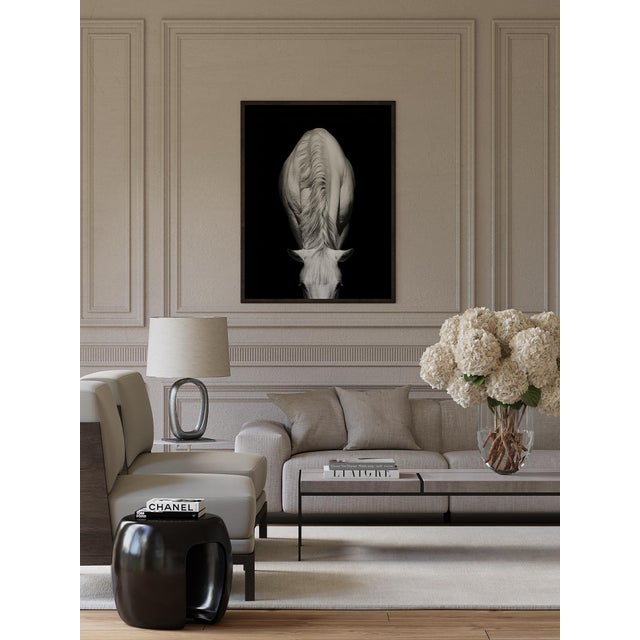 HORSE PRINT COLLECTION. -Fine Art Photography. Unique Equestrian Style for Interior Decor. -Horse Print Collection is...