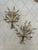 Bring old-world glamour and timeless European charm to your interiors with this stunning pair of vintage Italian wheat...