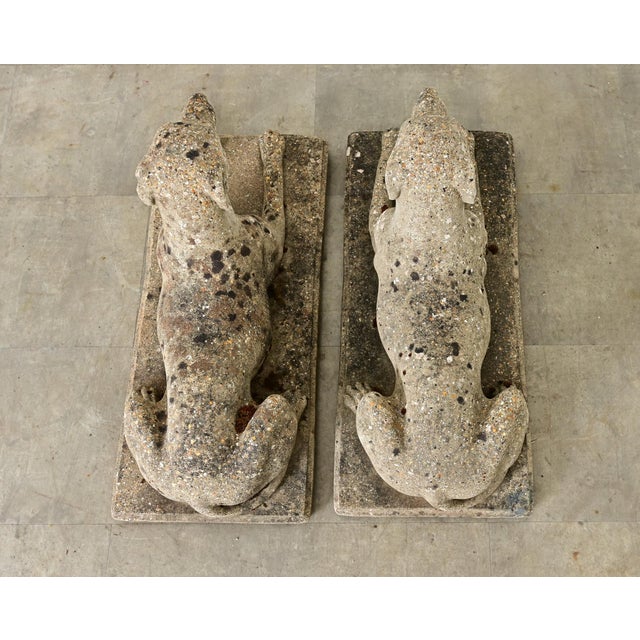 English Early 20th Century English Pair of Cast Stone Whippet Garden Statues For Sale - Image 3 of 12