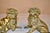 Pair of 19th Century French Bronze Brussels Griffon Figures For Sale In Greensboro - Image 6 of 12