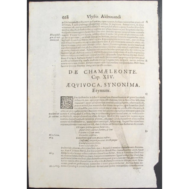 Date: 17th century Size: 9.5 x 14 inches Artist: Unknown About the Poster: A fine example of an avian study, circa 1650....