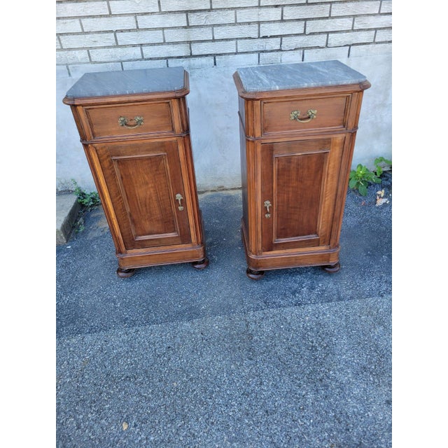 This product s a pair of 1i9th century French walnut marble bedside cabinets, with a brown color and intricate carvings....