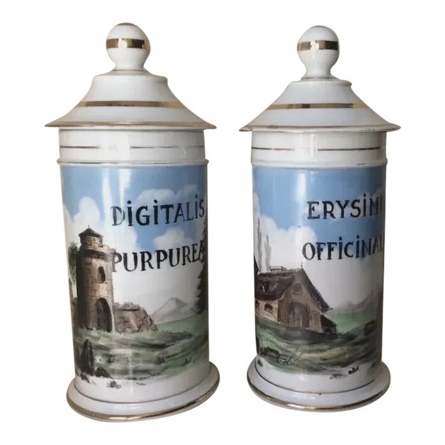 Antique 19thC French Apothecary, Drug Store Jars, Hand Painted For Sale