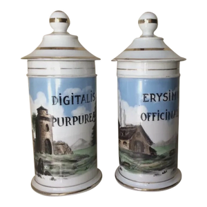 Antique 19thC French Apothecary, Drug Store Jars, Hand Painted