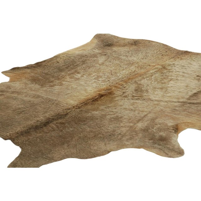 Rug & Kilim Rug & Kilim’s Extra Large Cowhide Rug in Beige-Brown and Cream Tones For Sale - Image 4 of 7