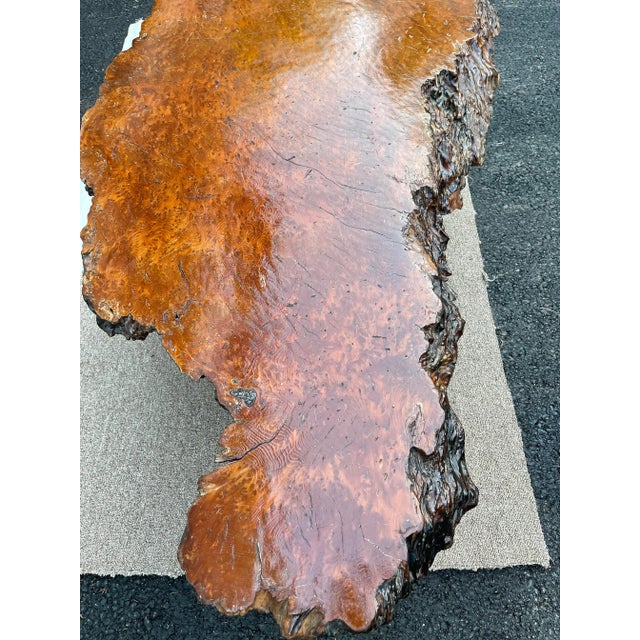 1970s Redwood Burl Coffee Table with Root Base For Sale - Image 4 of 13