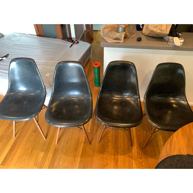 Brown Stellar Works Ren Round Walnut Dining Table + Herman Miller Eames Fiberglass Wood Dowel Chairs For Sale - Image 8 of 13