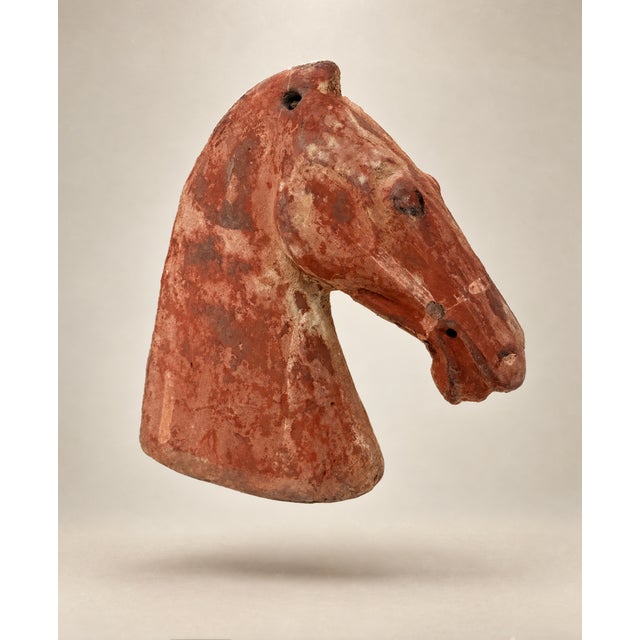 Traditional Han Dynasty Antique Chinese Pottery Horse Head Funerary Tomb Figure For Sale - Image 3 of 10