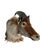 Closely related to the wild goat, this Himalayan Tahr is known for its shaggy, tick coat and mane-like collar. Native to...