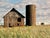 Amor Township Farmstead, Summer Fabulous American landscape photography of a rural landscape scene. from small hand signed...