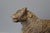 19th Century Sacred Cow in Carved Wood, India, 1800s For Sale - Image 6 of 12