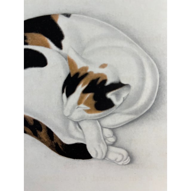 Shabby Chic 1942 Sophie the Cat Dulac Print For Sale - Image 3 of 4