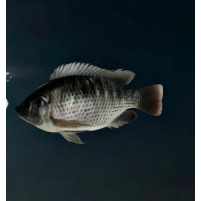 Contemporary Mr Strange, Meeting II, 2020, Pencil Signed Print For Sale - Image 3 of 6