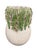 Italian Hand-Crafted Italian Majolica Cabbage and Succulent Ceramic Vase For Sale - Image 3 of 12