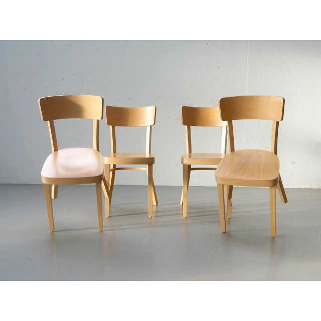 Wood Side Chair in Beech by Ton For Sale - Image 7 of 15
