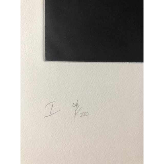 Pat Steir, Comet, Outer Space Dark Series Aquatint Etching Color Abstract Expressionist For Sale In Miami - Image 6 of 7