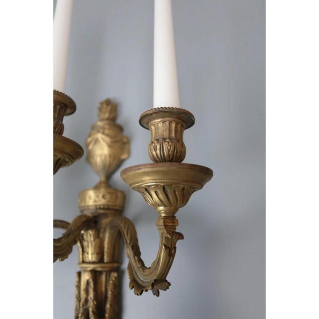 Neoclassical Mazarin Wall Sconces, Set of 2 For Sale - Image 4 of 8