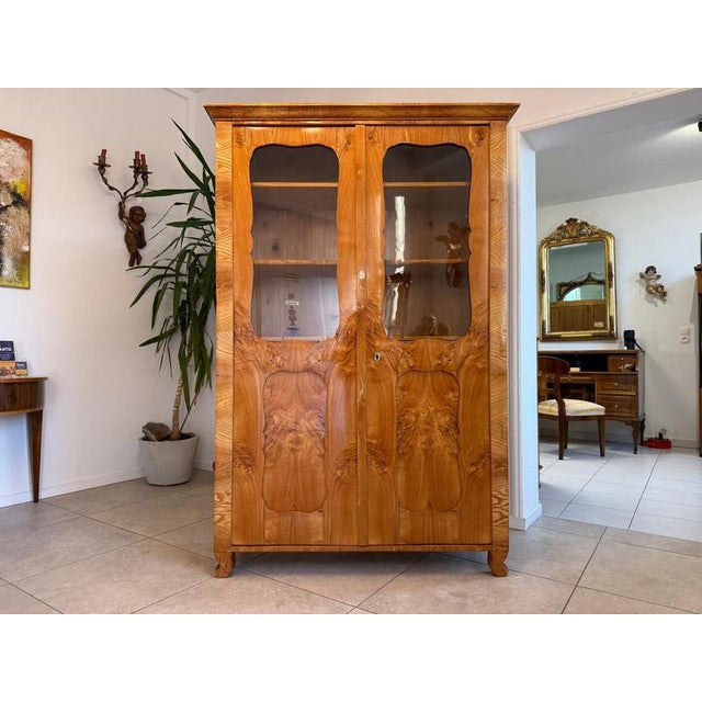 Brown Biedermeier Display Cabinet, 1845 For Sale - Image 8 of 15