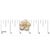 Early 21st Century 18K Rose Gold 3/8 Cttw Diamond and Freshwater Pearl Blossom Stud Earrings For Sale - Image 5 of 5