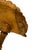 Wood 19th Century Carved Gilt Shell Music or Lectern For Sale - Image 7 of 8